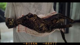 血咒 圖10