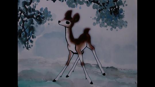 鹿铃花