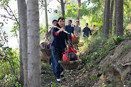黃軒最近熱播的電視劇 圖4