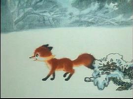 雪狐 圖4
