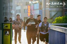 我的寵物是大象票房 圖5