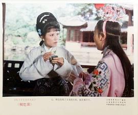 桐花淚 圖8