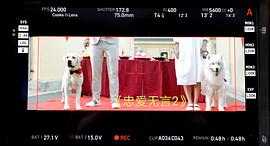 忠愛無言2 圖6