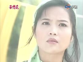 苦戀花 圖5