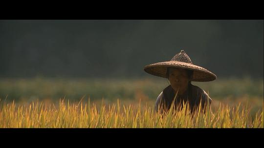 愛(ài)德華諾頓面紗