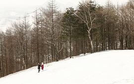 雪海电视剧云播放 图1