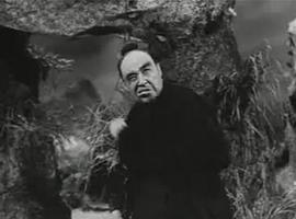 金鼎游龍 圖8