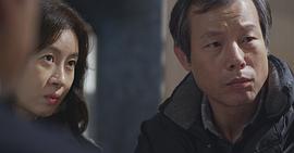 牛蠅 圖4