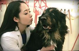 神犬小七 第一季 圖8