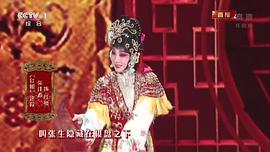 2014春节联欢晚会视频 图2