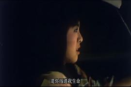 香港之夜完整版在线播放电影免费 图9