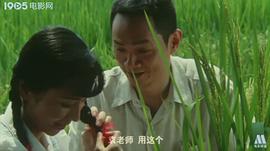 袁隆平 圖2