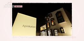 Apinkation 图2