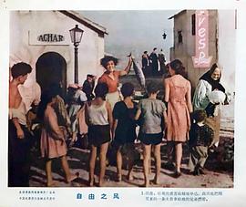 自由之風(fēng) 圖1