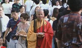 天橋不見(jiàn)了 圖1