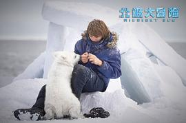 北极大冒险中文版电影完整版 图6