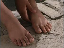 小鞋子电影免费观看国语西瓜视频 图3