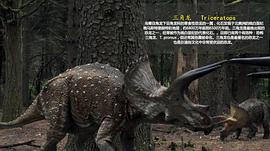 恐龙进化史 图9
