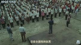 关于袁隆平的纪录片 图8