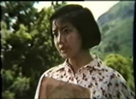 春苗 圖6