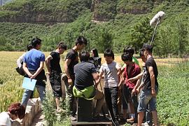 如果樹知道 圖7