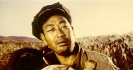 金姬和銀姬的命運 圖2