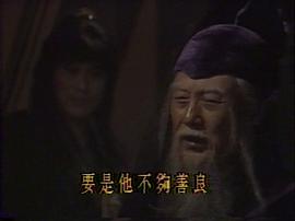 怒劍狂花 圖7
