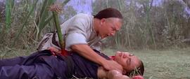 南北獅王 圖6