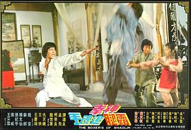 神拳霸腿追魂手 圖7