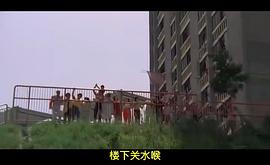 香港82粤语电视剧 图9