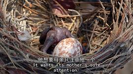 生命故事 圖2