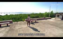 邵峰主演的电视剧有哪些 图7