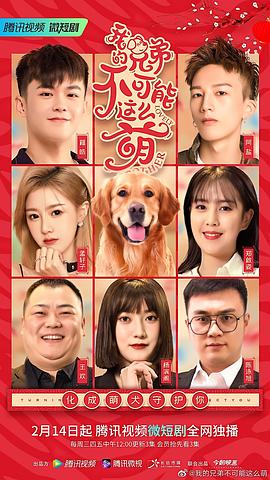 2017年中国电视剧 图2
