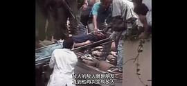 毒梟三部曲 圖6