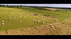 农场的四季生活纪录片 图9