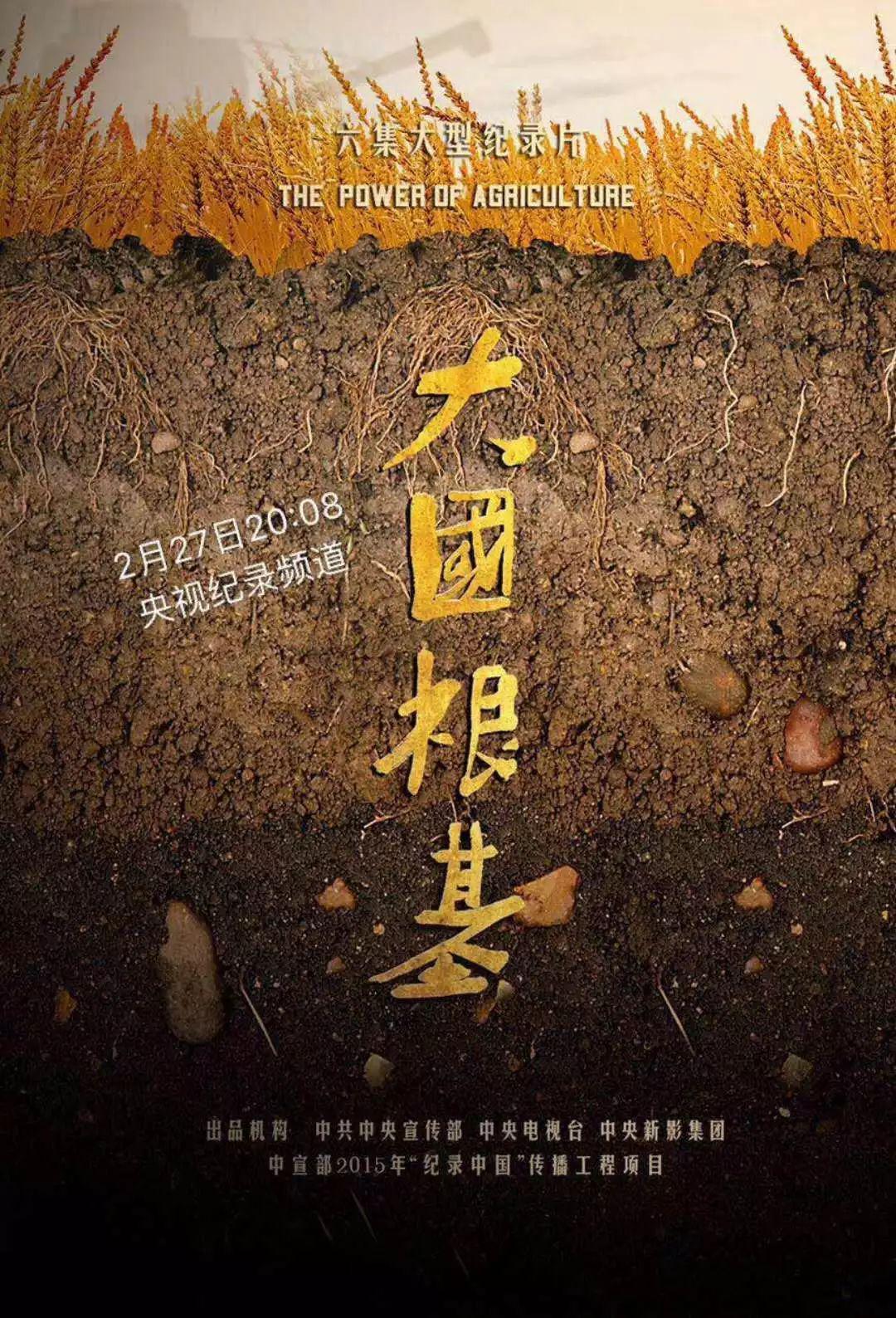 大國根基