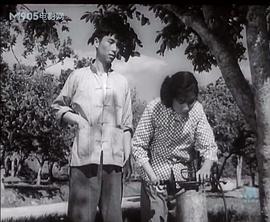 李雙雙 圖5