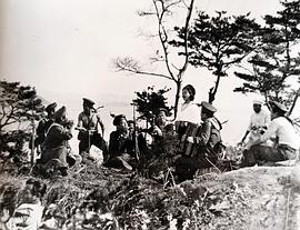 月尾島 圖7