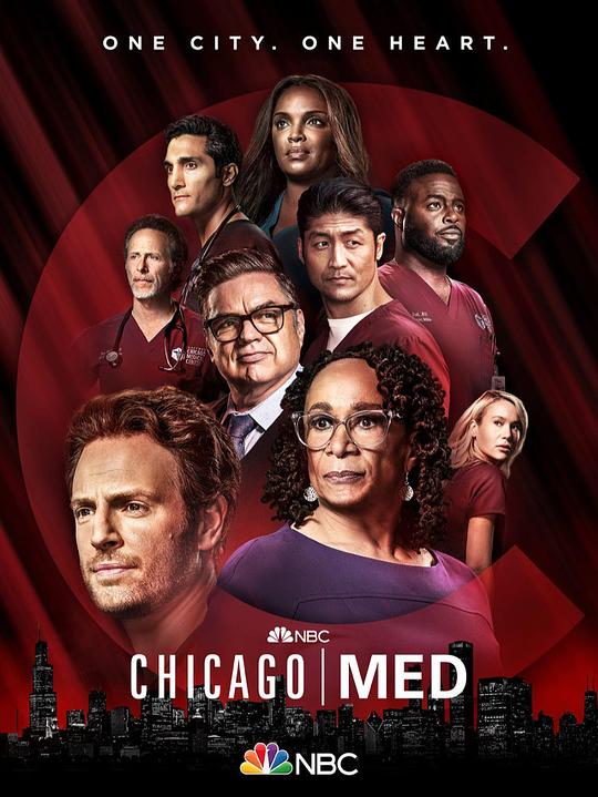 芝加哥医院第二季在线