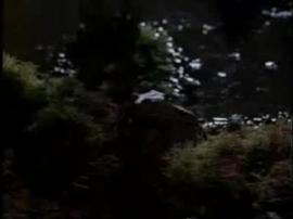 他來自未來 圖4