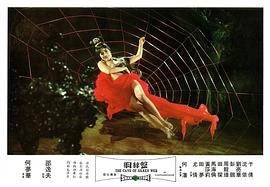 盤絲洞系列 圖3