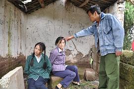 鳳凰情 圖5