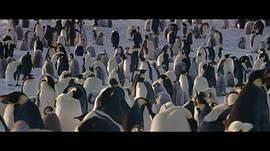 企鹅日记电影 图1