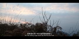 名称中带丹霞山的电影 图5