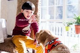 神犬小七 第一季 圖5