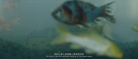 春水 圖3