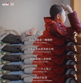 人生第二次 图3
