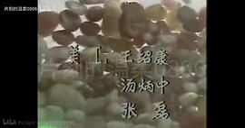 紅紅的雨花石 圖10