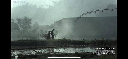 等郎妹電影的劇情梗概