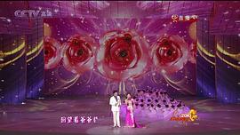 春節(jié)晚會2010 圖4